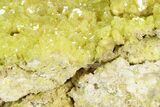 2" Sulfur Crystal Cluster on Matrix - Nevada - #129730-1